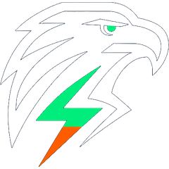 Freedom Electric eagle logo, electrician in Rolla MO